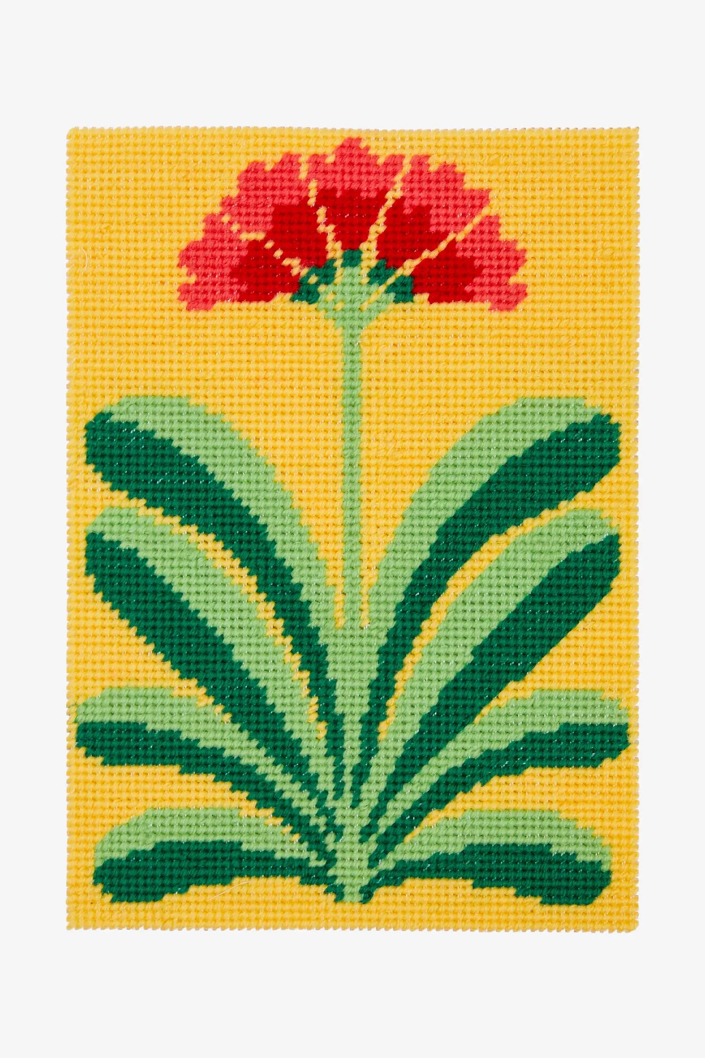 Kit Tapicería Lirio del bosque