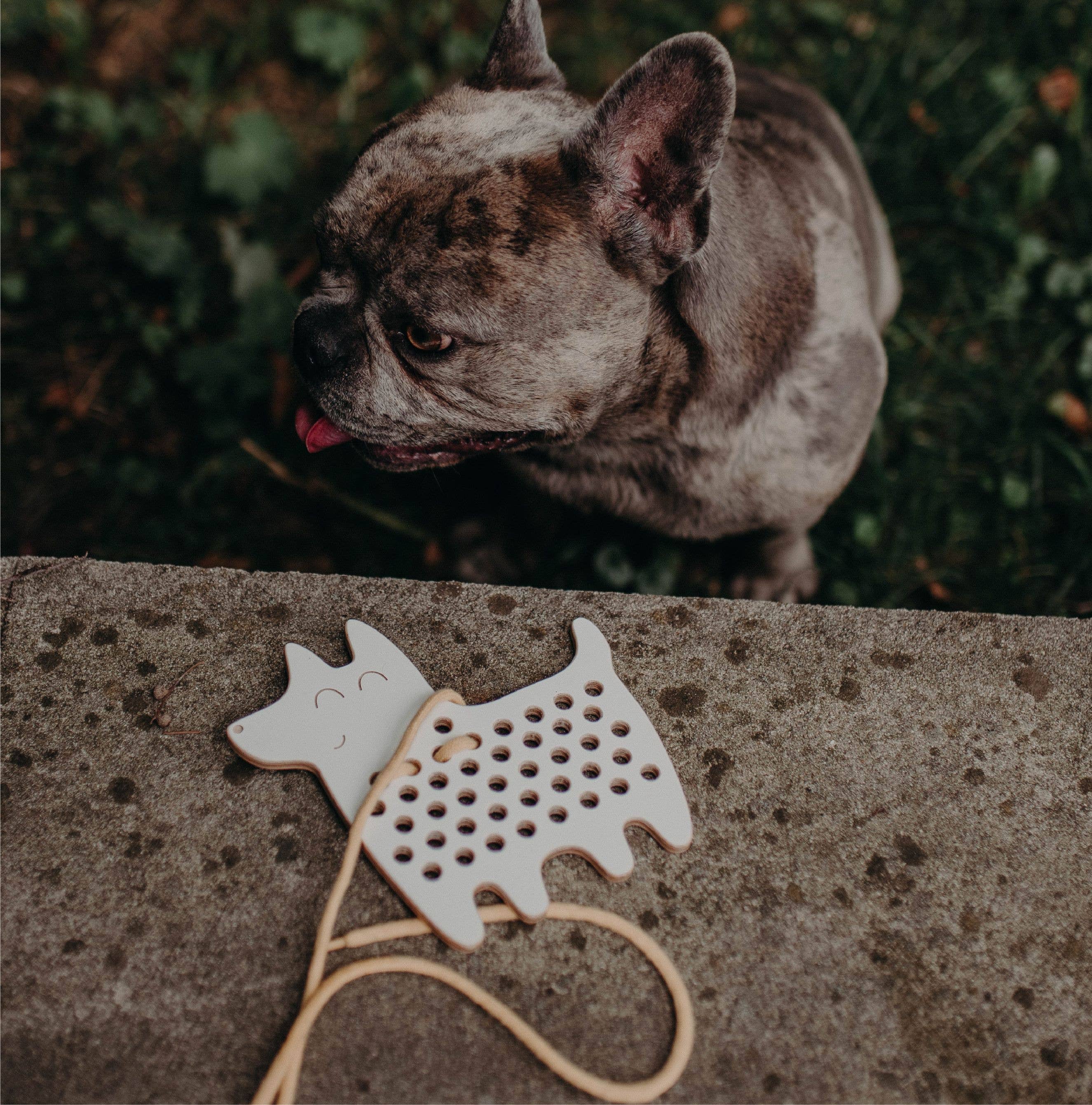 Oskar el Perro, juguete de madera con cordones