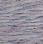 Eco Vita hilo de lana orgánica (Copia)