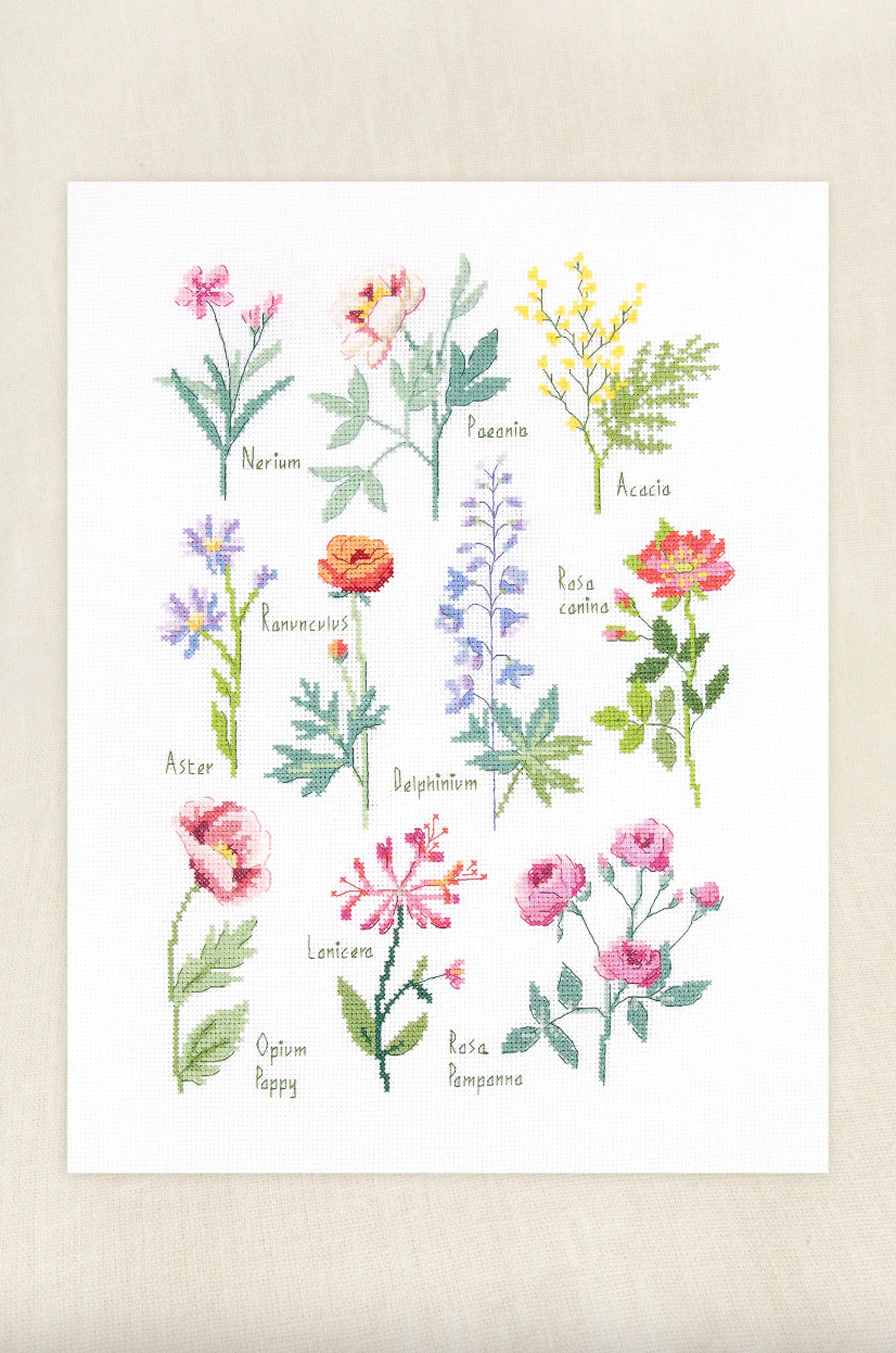 Kit Punto de Cruz Lámina Botánica