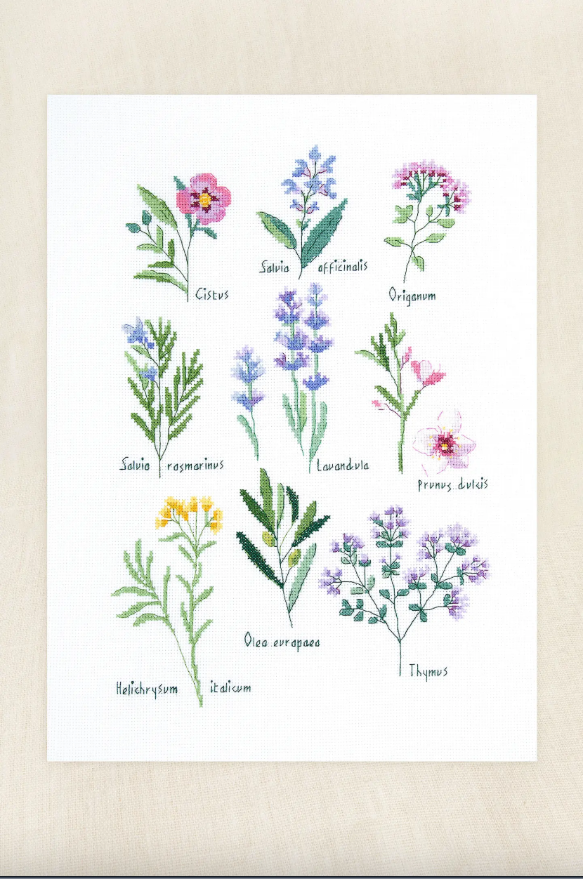 Kit Punto de Cruz Herbario