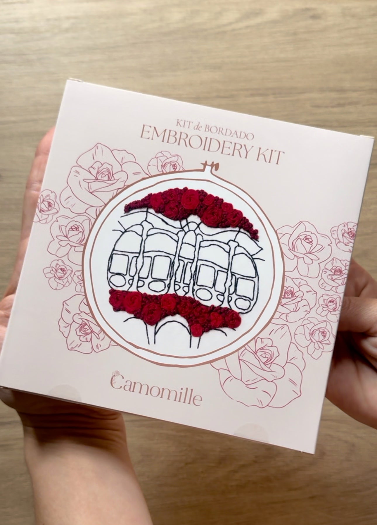 Kit DIY Casa Batlló